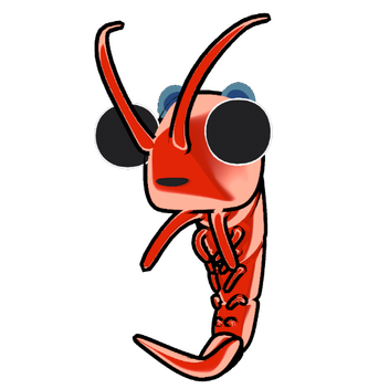 Shrimp Model